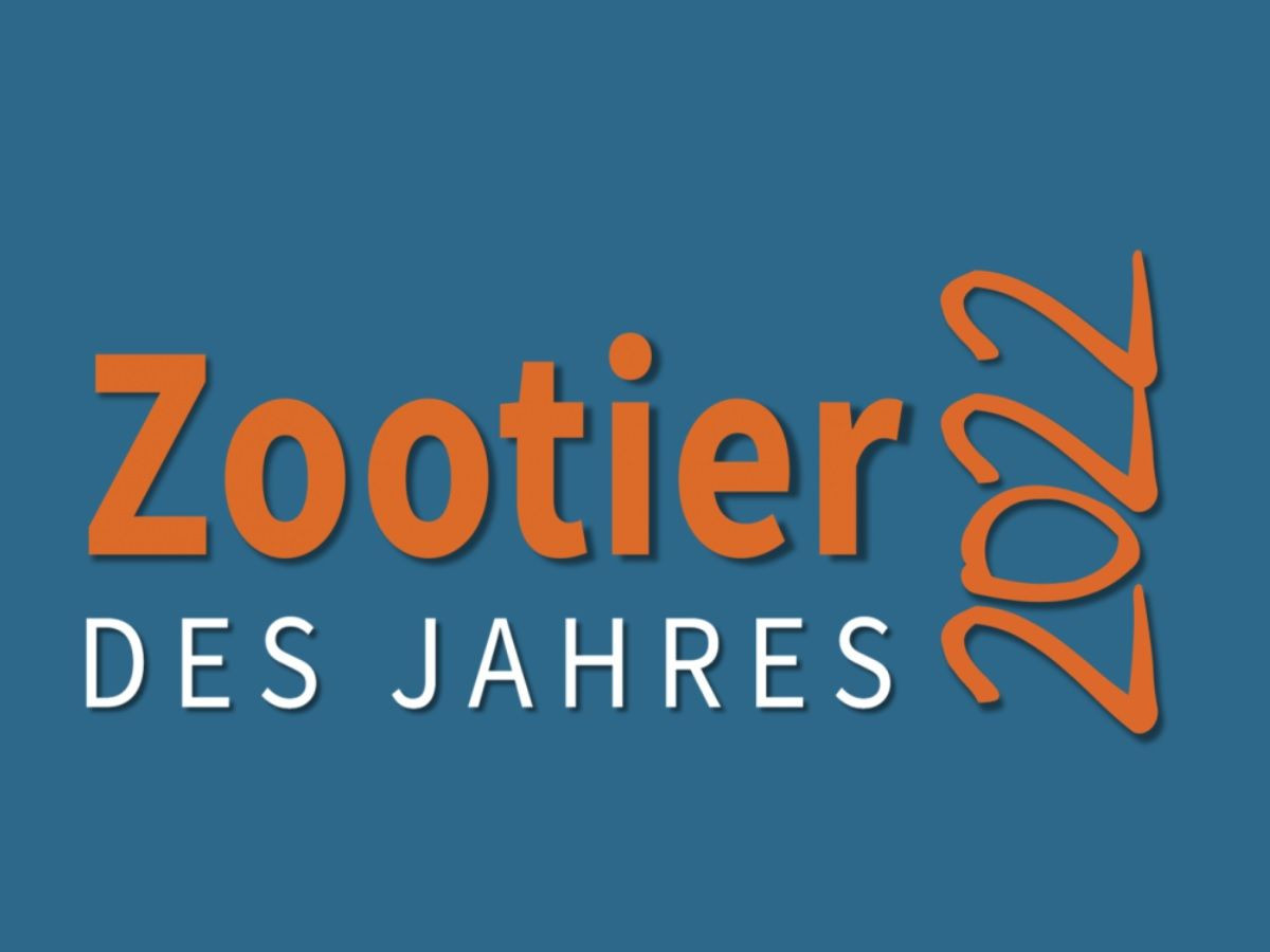 Charity-Kampagne: Zootier des Jahres 2022