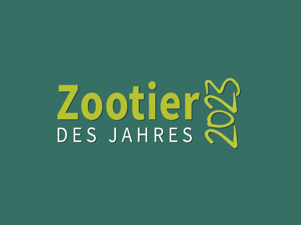 Charity-Kampagne kürt das „Zootier des Jahres 2023“