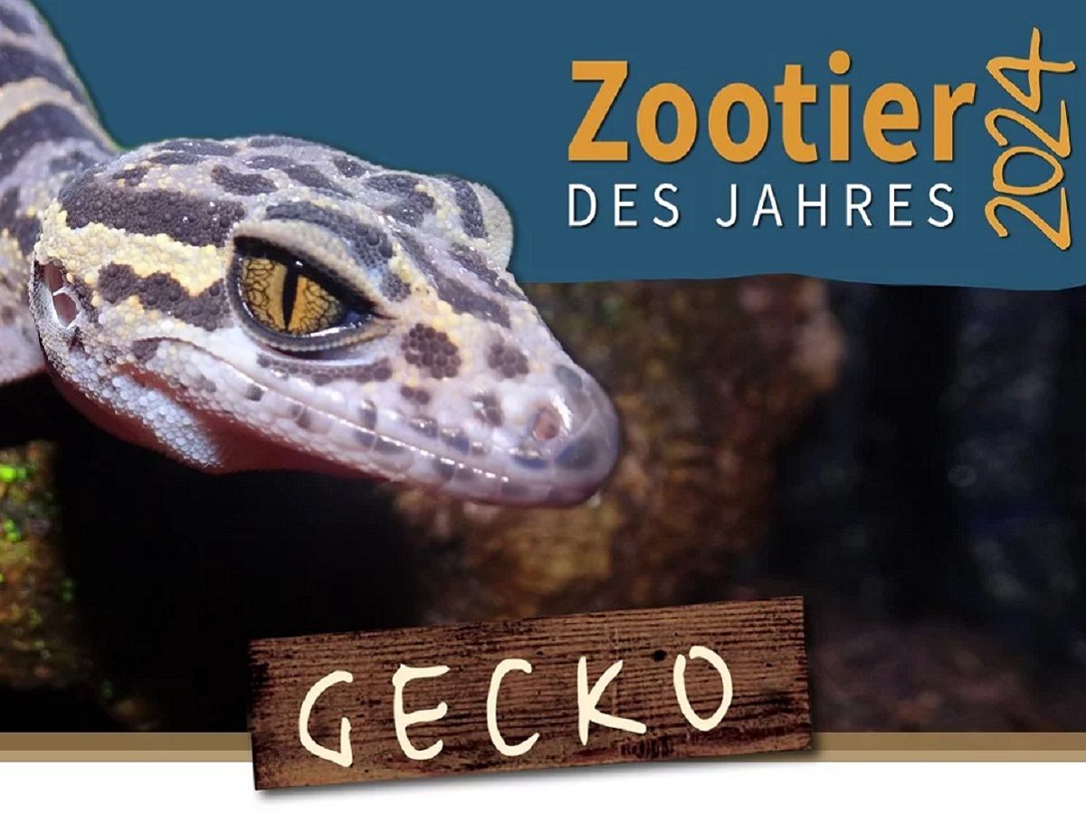 Bild: Zoologische Gesellschaft für Arten- und Populationsschutz (ZGAP)